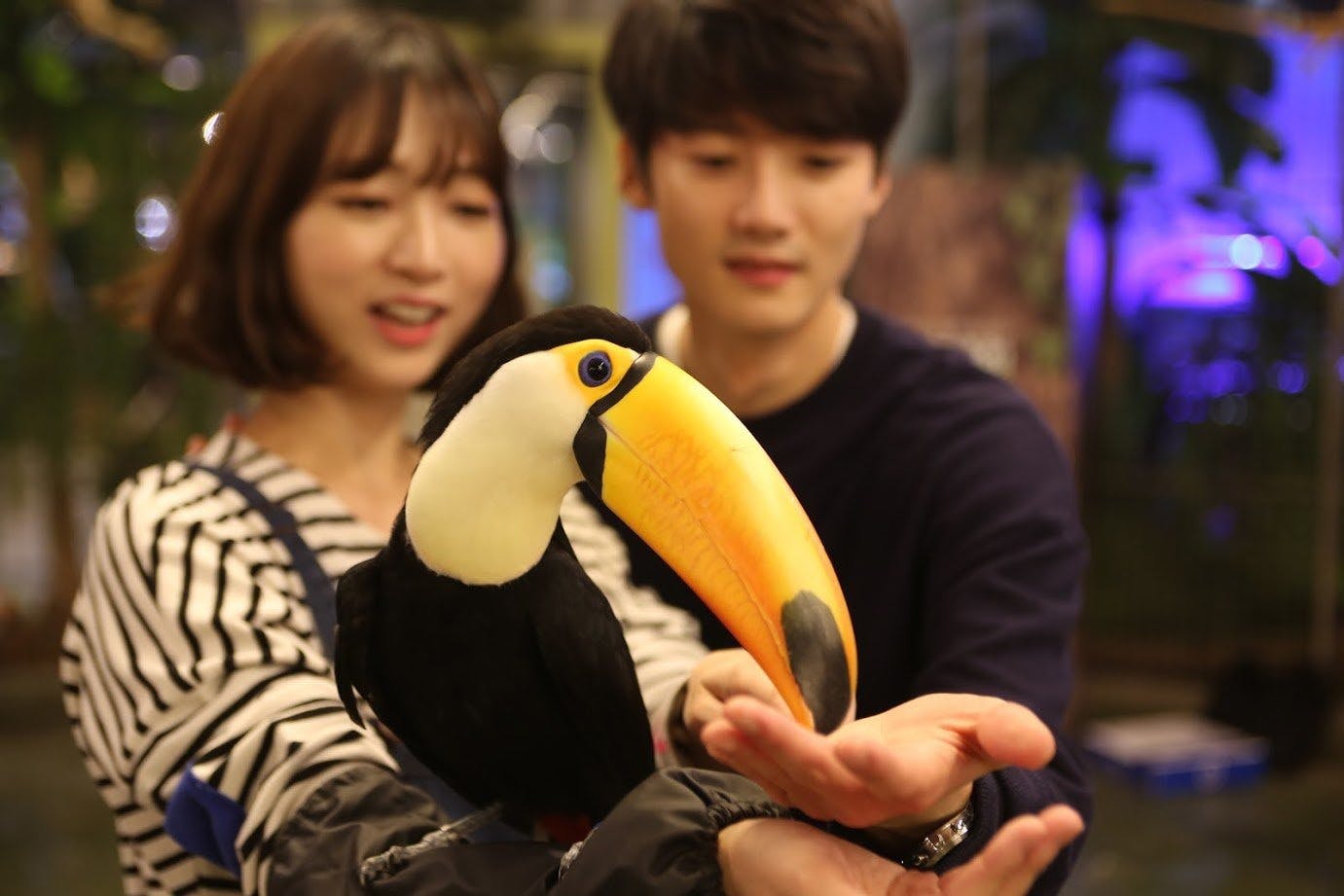 Zoolung Zoolung Indoor Animal Theme Park Ticket Ticket