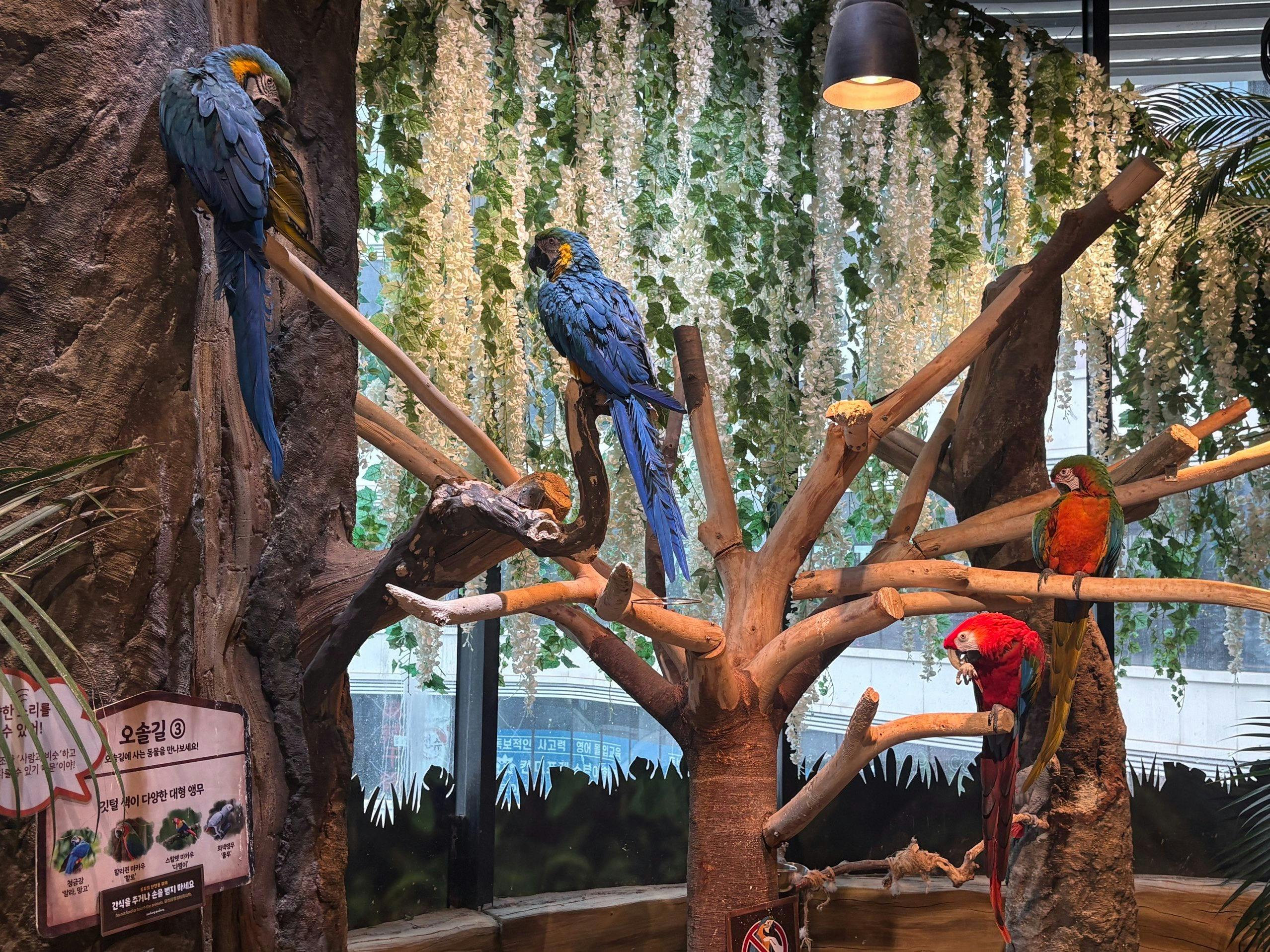 Zoolung Zoolung Indoor Animal Theme Park Ticket 