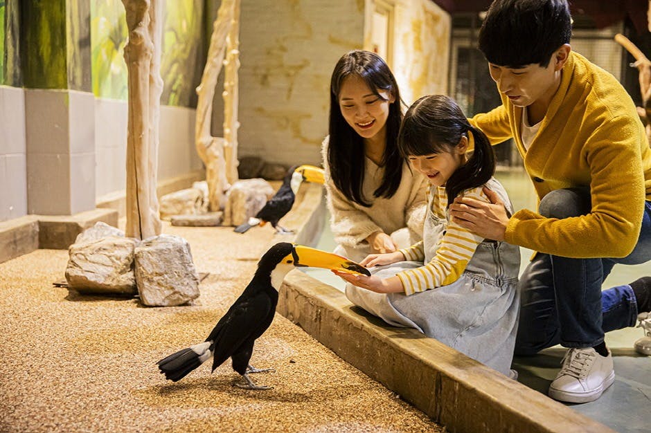 Zoolung Zoolung Indoor Animal Theme Park Ticket Thrillark