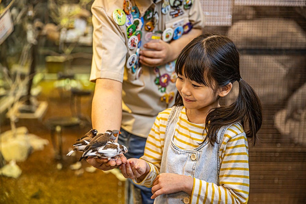 Zoolung Zoolung Indoor Animal Theme Park Ticket Review
