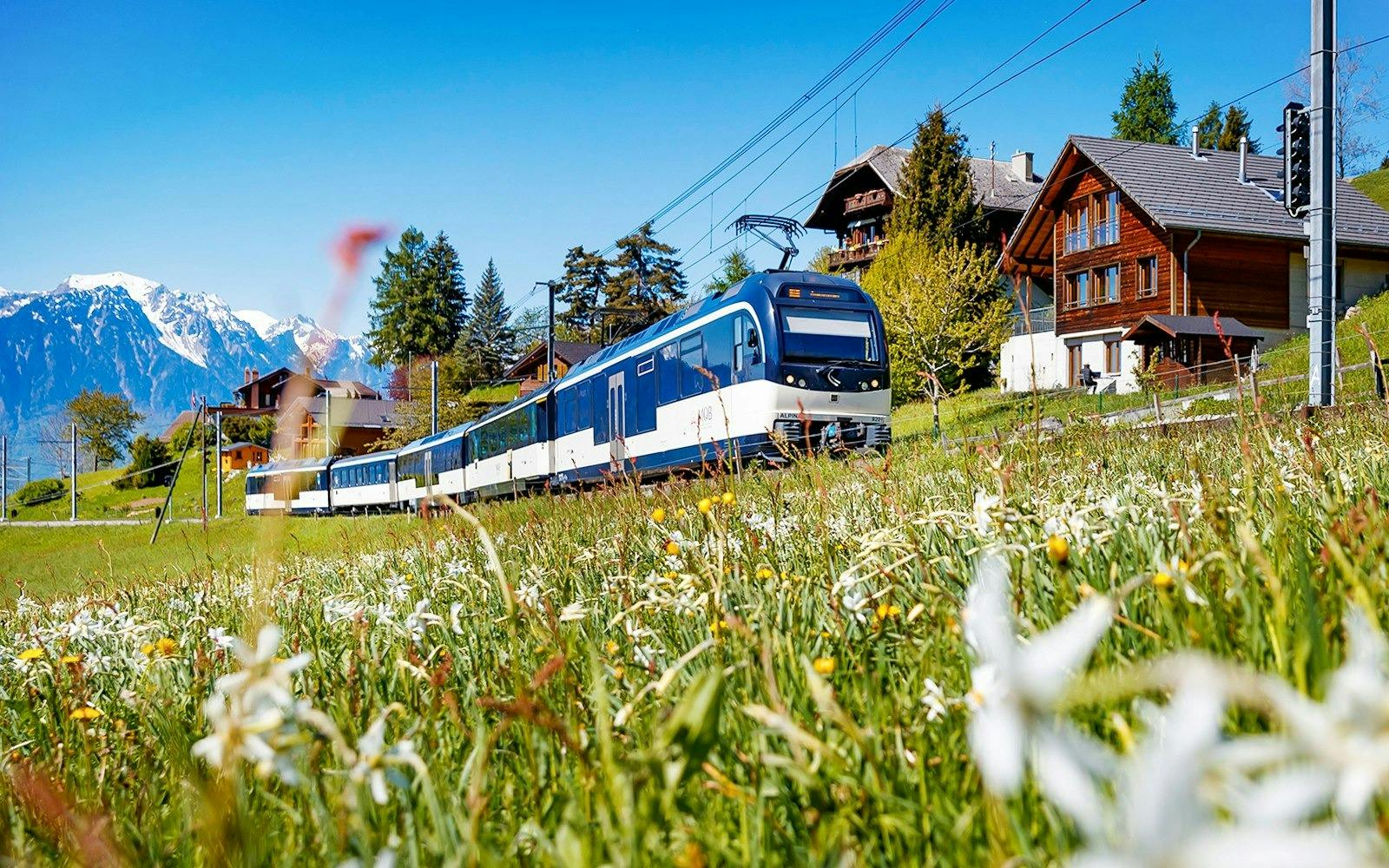 Swiss Travel Pass (Consecutive Days) 