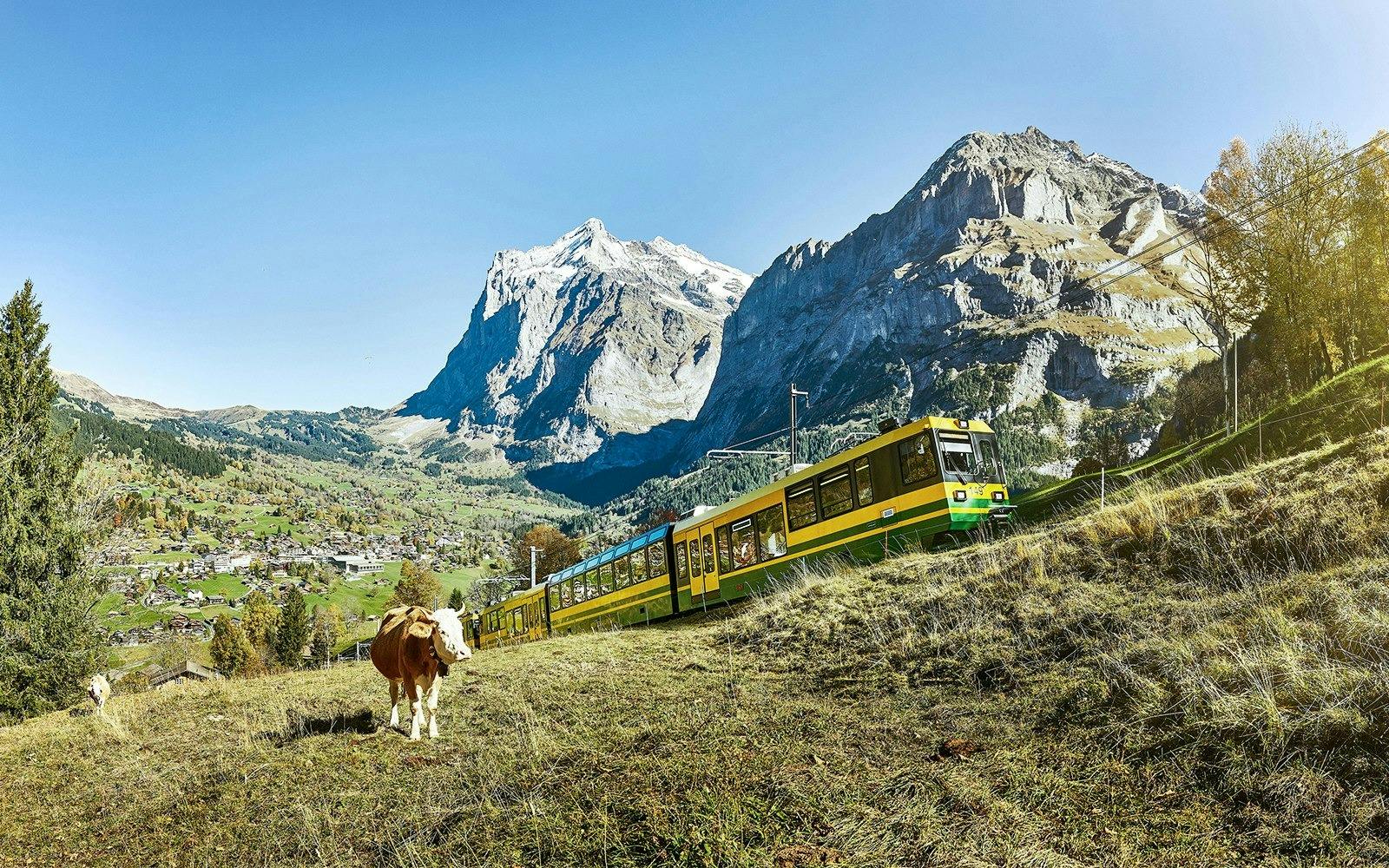 Grindelwald, Interlaken & Lauterbrunnen Tour 