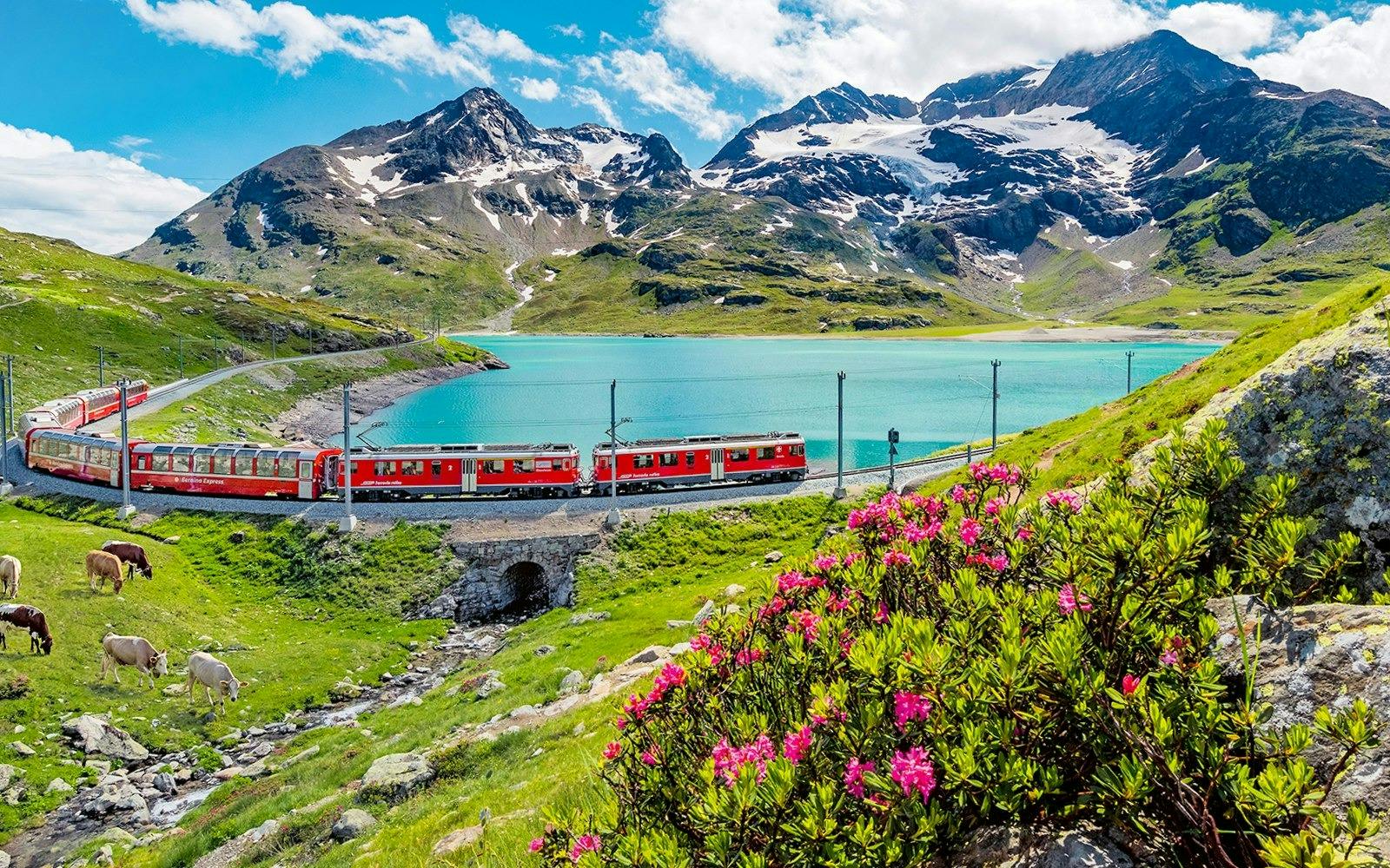 Swiss Travel Pass Family Card (Consecutive Days) Ticket