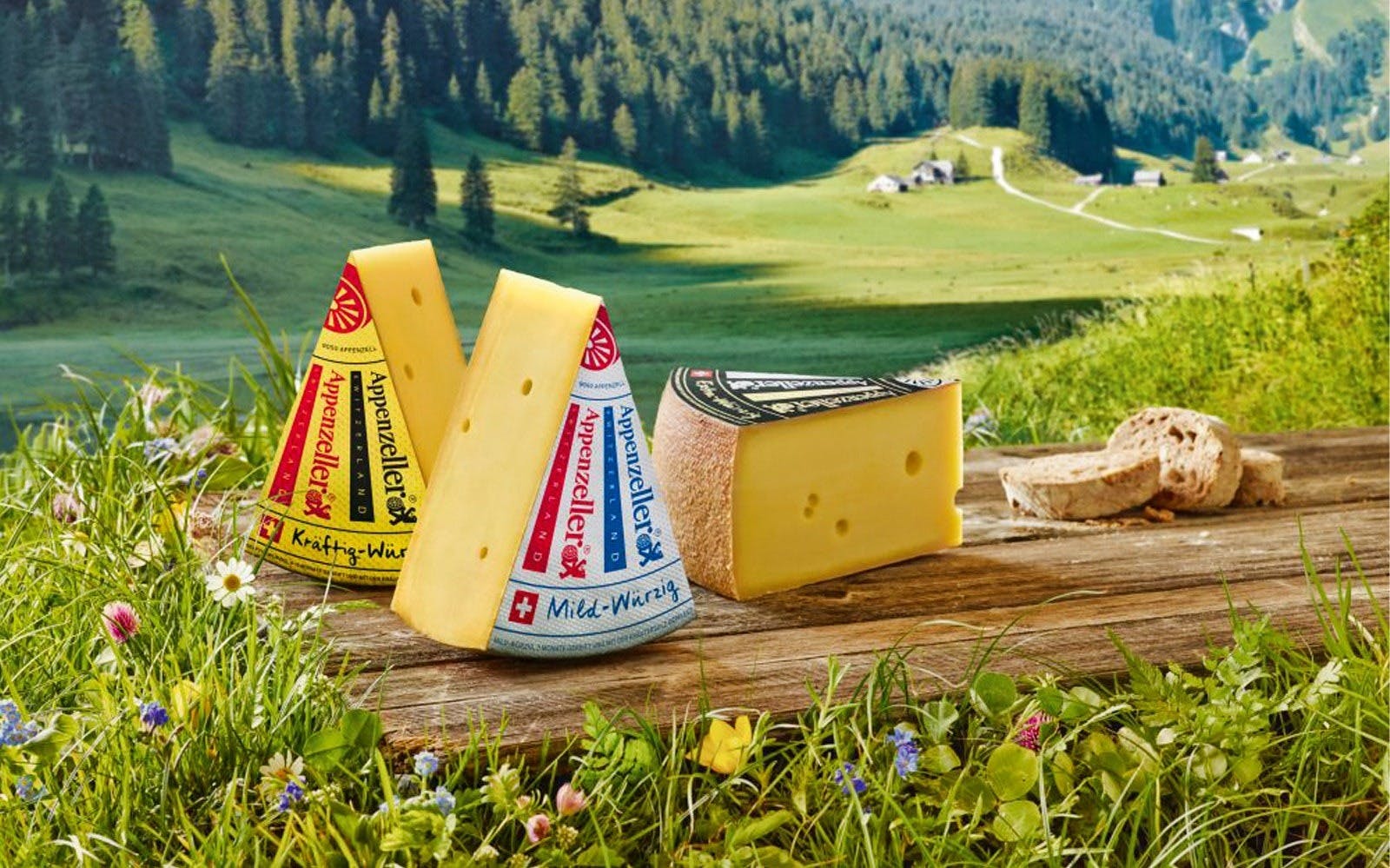 Zurich: Appenzell Tour with Cheese & Chocolate Tasting Category
