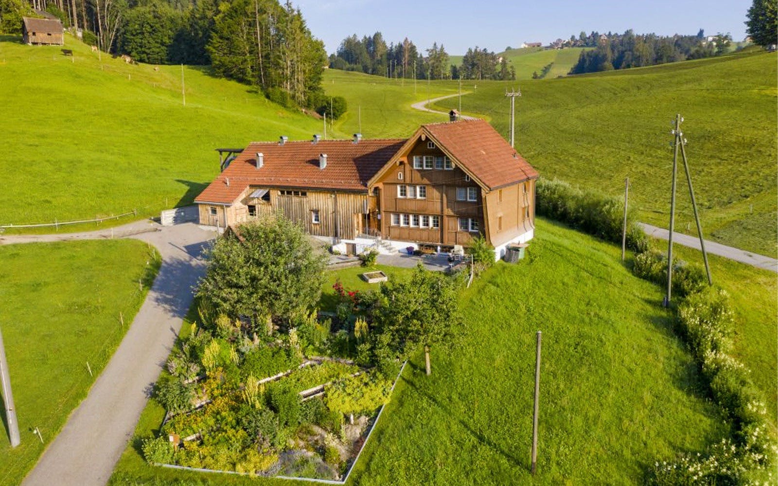 Sunset Tour & Swiss Cheese Fondue Dinner in Zurich 