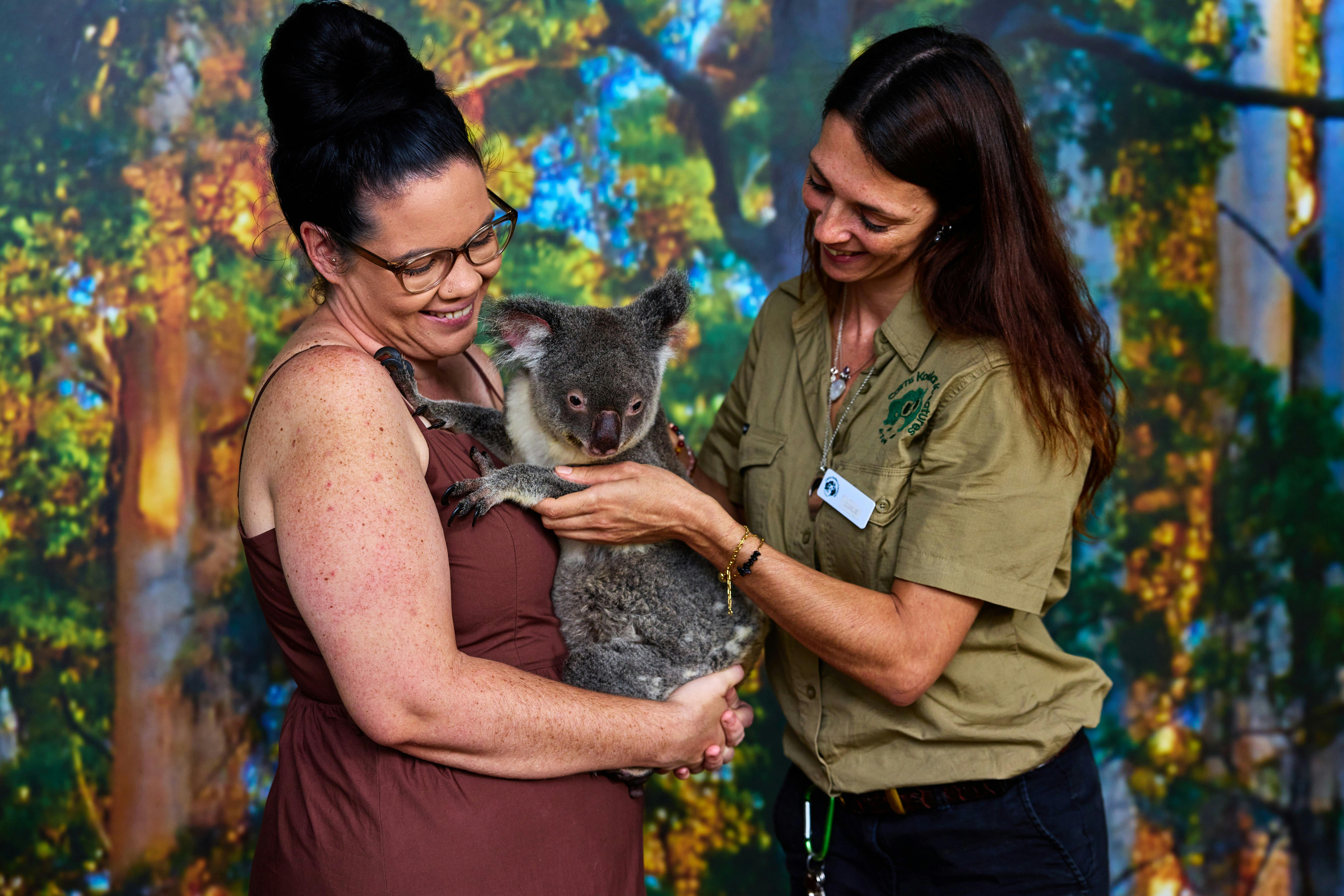 Cairns Koalas and Creatures Admission Ticket Discount