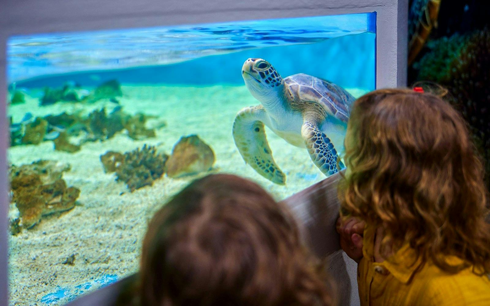 Cairns Aquarium Ticket Location