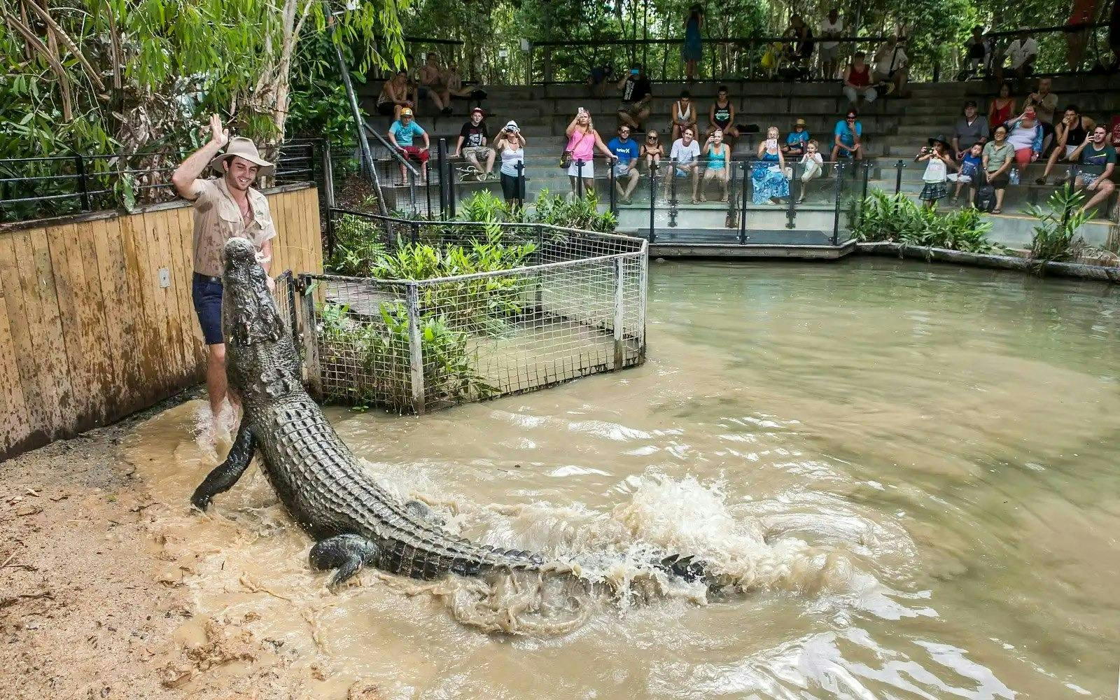 Hartley’s Crocodile Adventures Ticket 