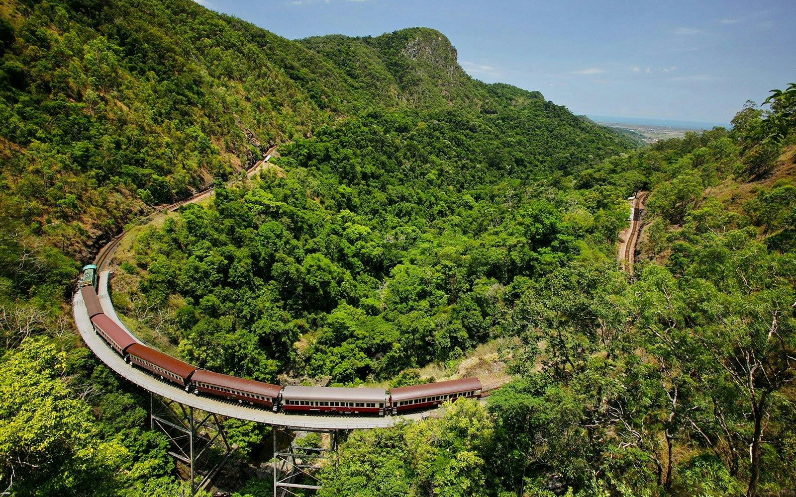 Skyrail Cableway & Kuranda Scenic Train with Hostel Transfer Discount