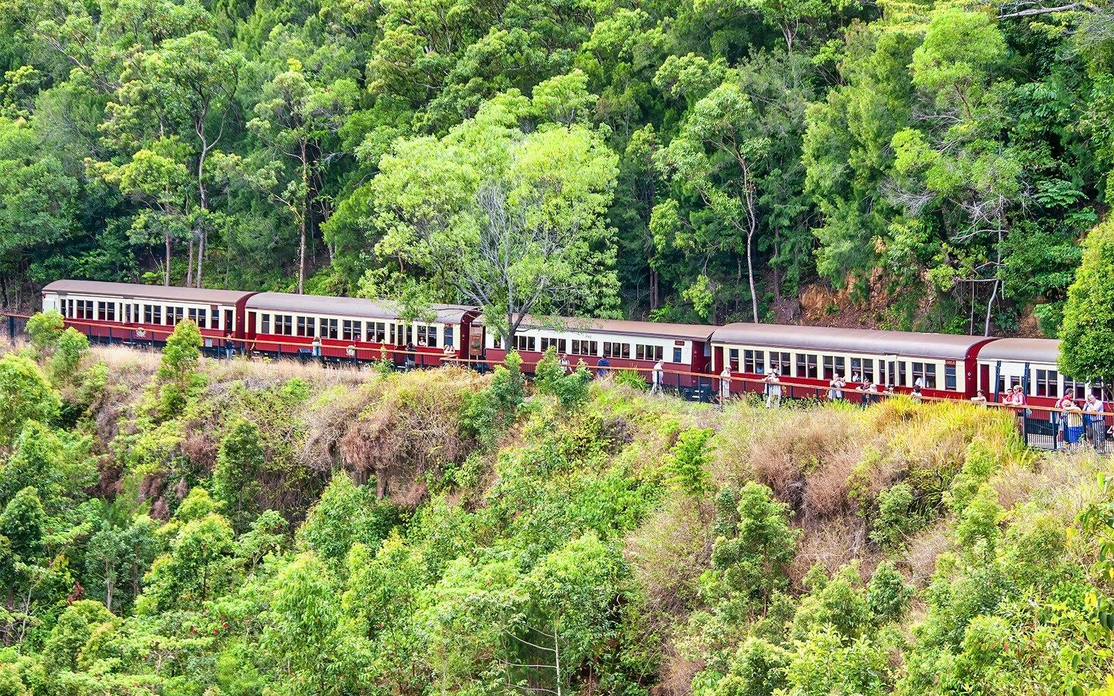 Skyrail Cableway & Kuranda Scenic Train with Hostel Transfer 