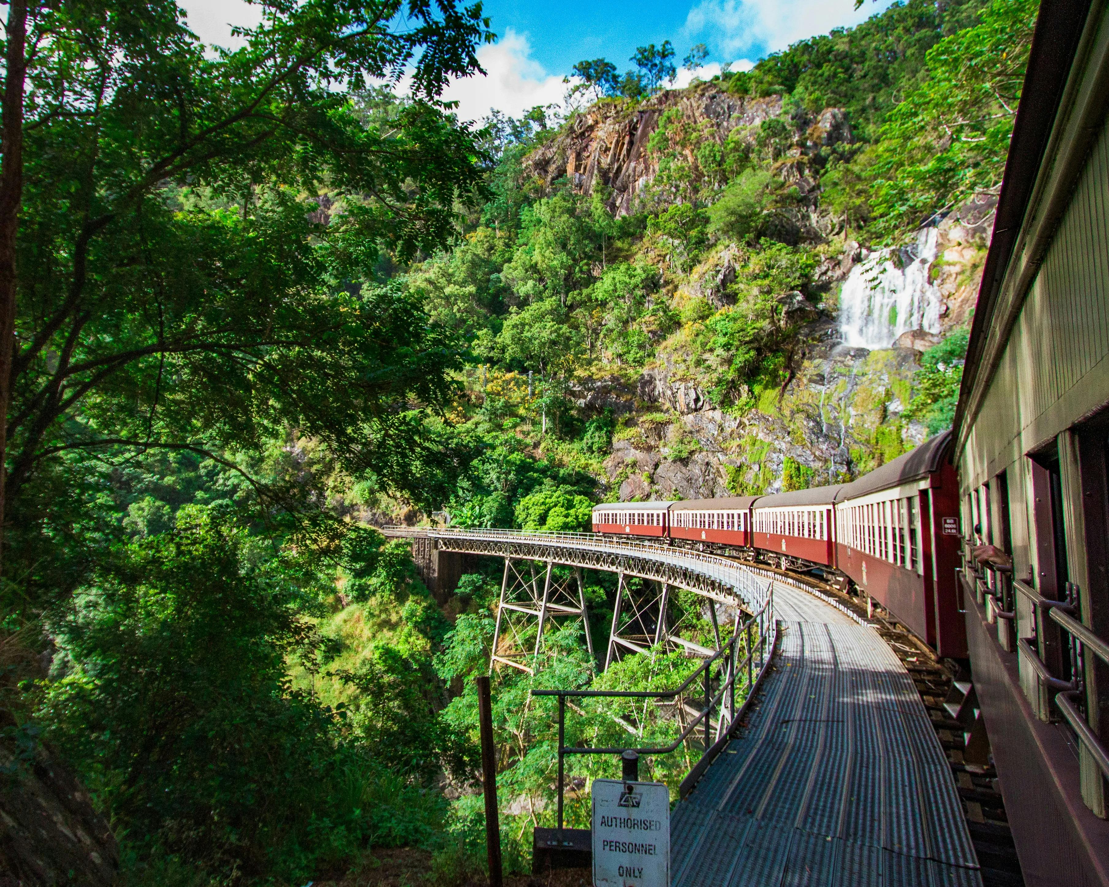 Skyrail Cableway & Kuranda Scenic Train with Hostel Transfer 