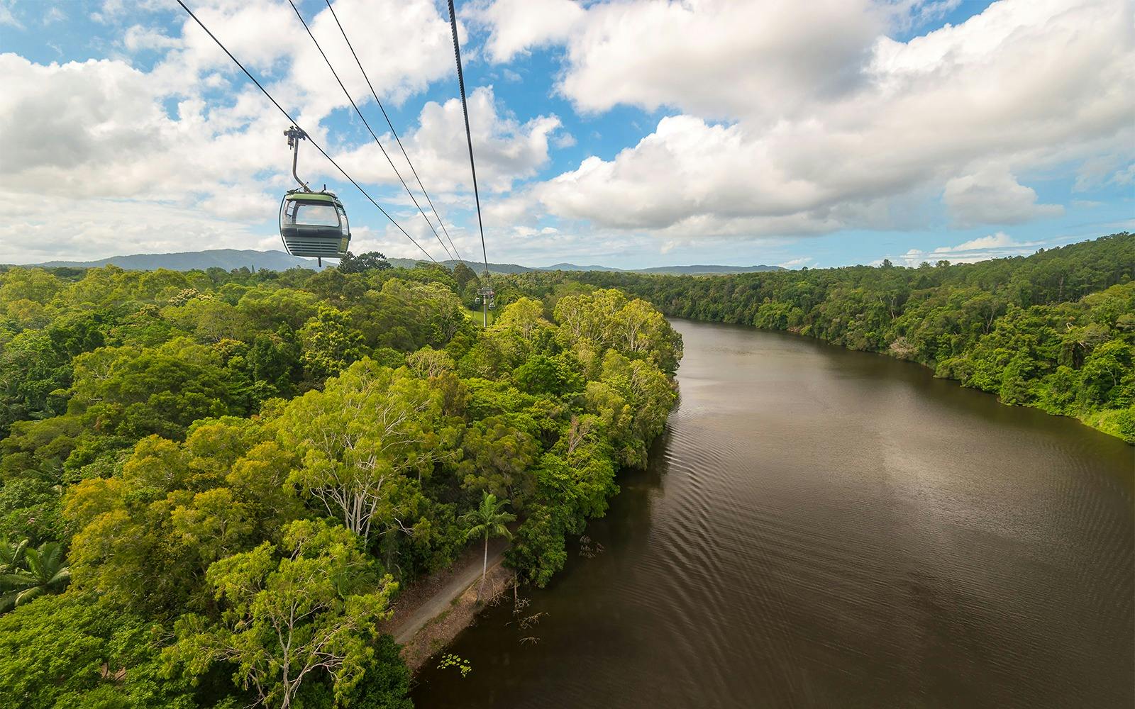 Skyrail Cableway & Kuranda Scenic Train with Hostel Transfer Thrillark