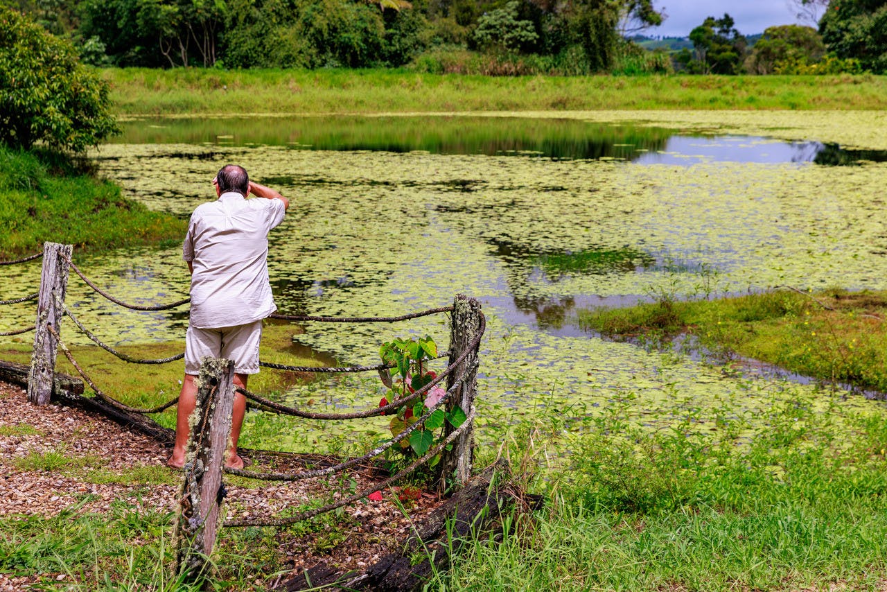 Cairns: Australian Outback Food and Wine Tasting Tour & Northern Beaches Discount