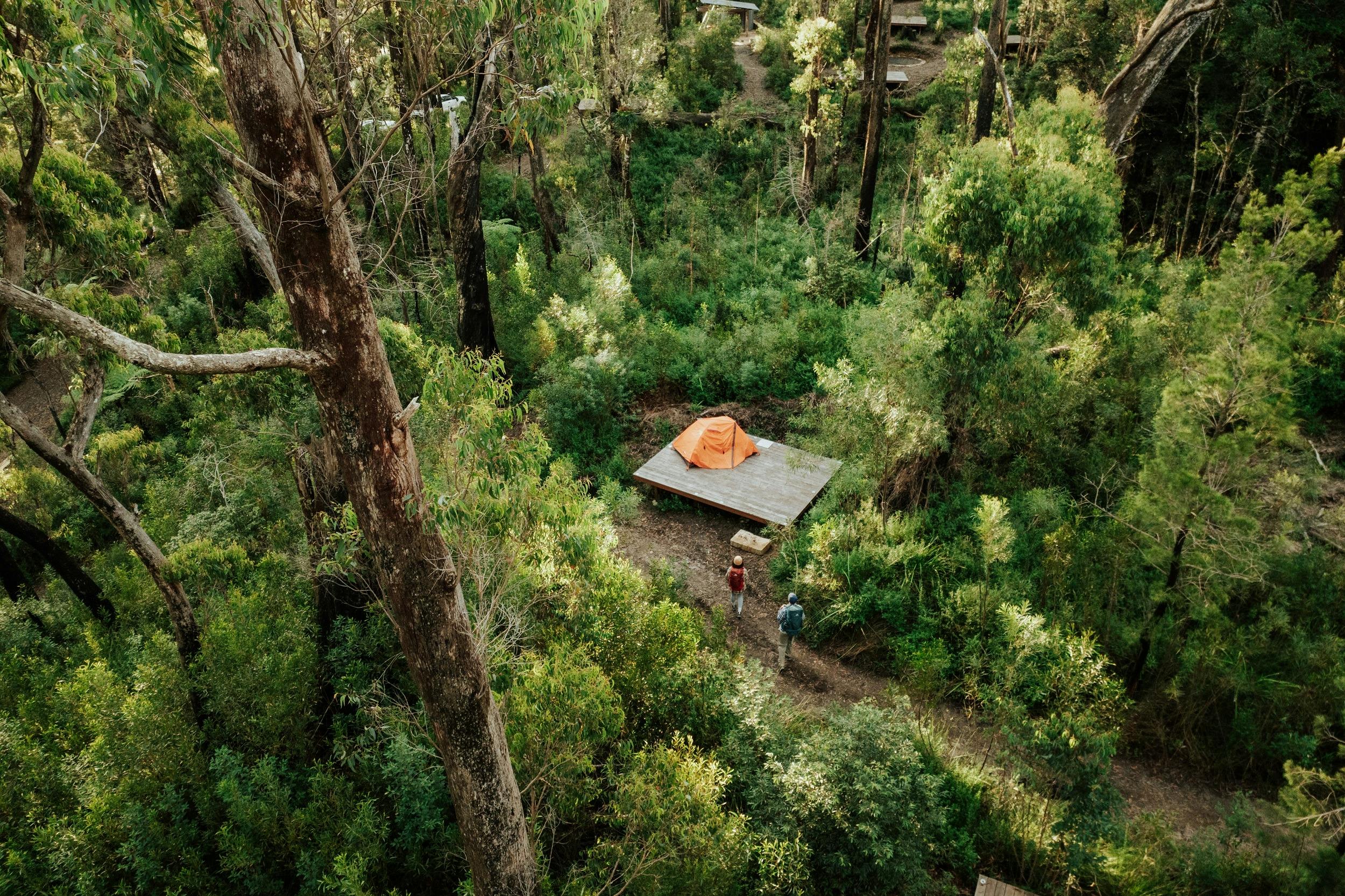 Rainforestation Nature Park Ticket 