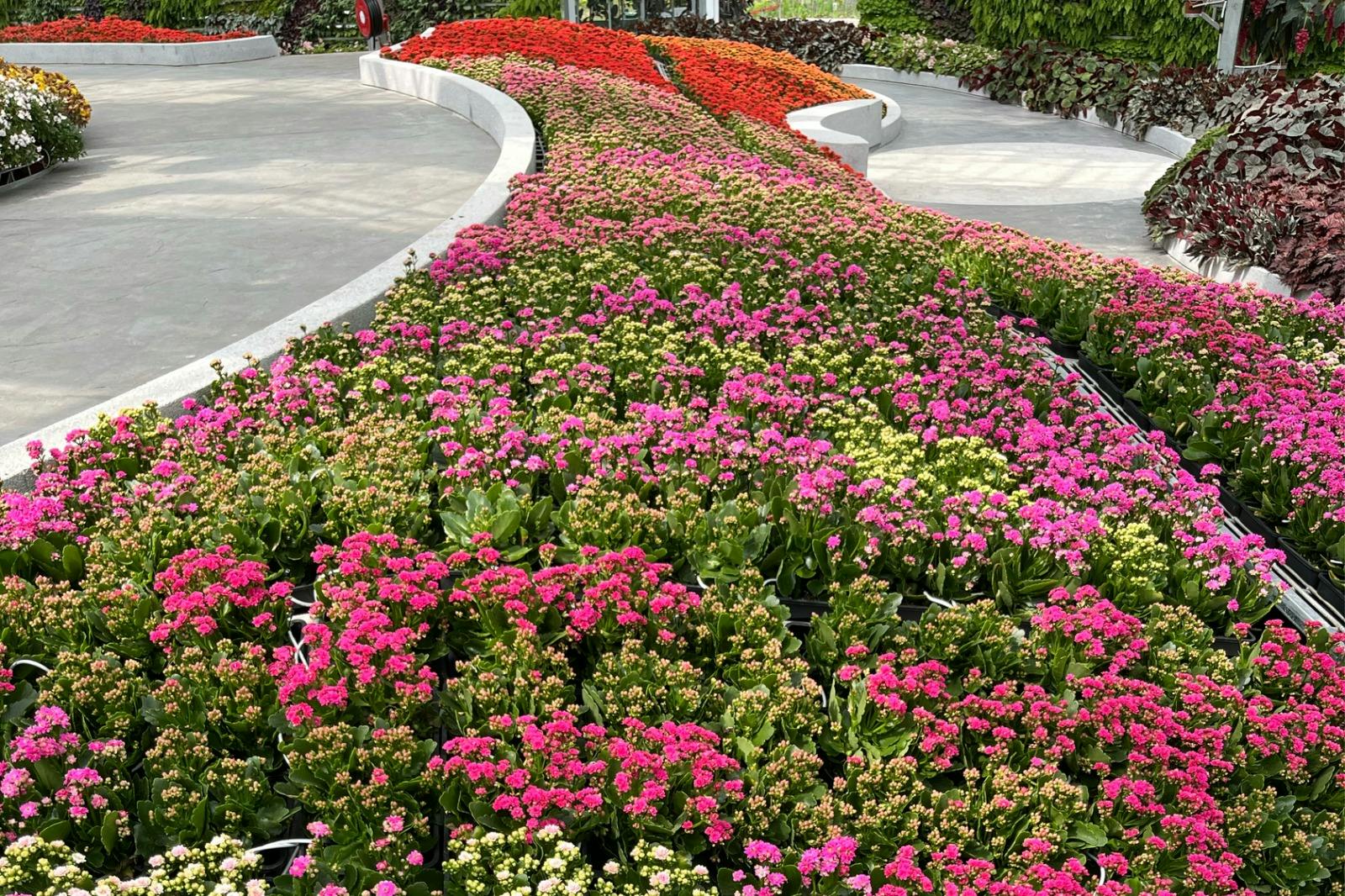 Eufloria Gardens & Sculpture Park Ticket Ticket
