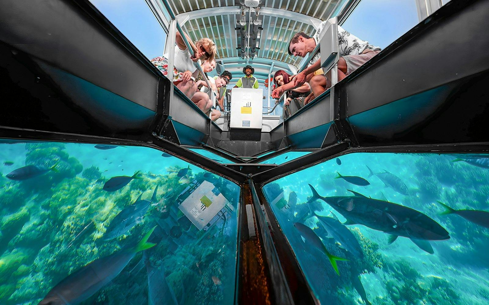 Green Island Reef Cruise Full-Day Tour Price