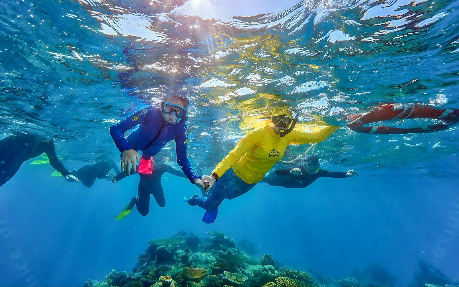 Green Island Reef Cruise Full-Day Tour Thrillark