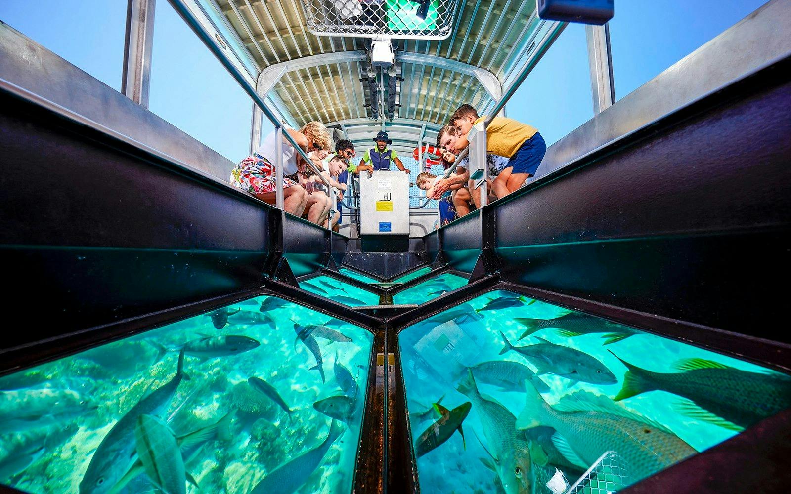 Reef Magic Pontoon Tour from Cairns Price