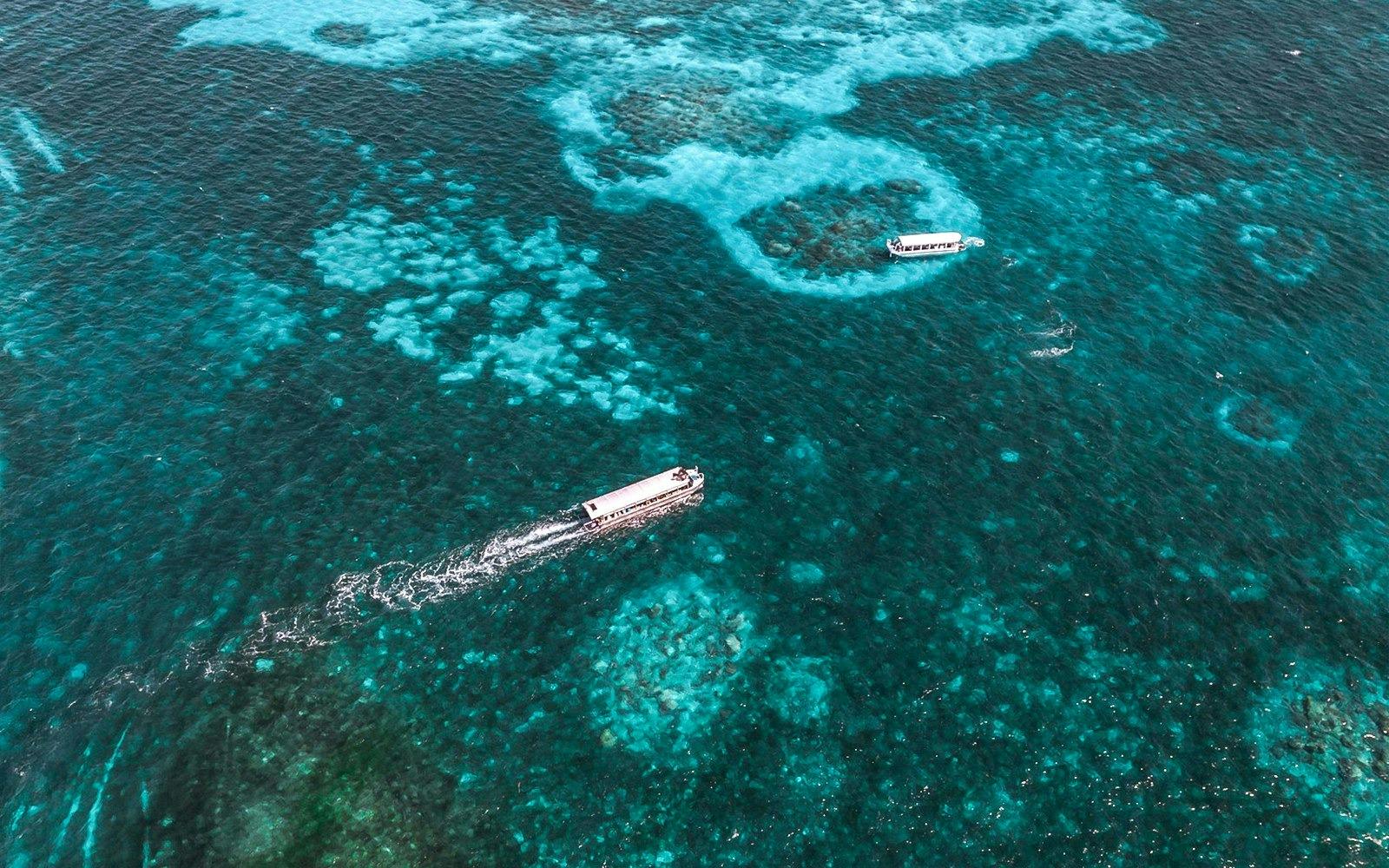 Reef Magic Pontoon Tour from Cairns 