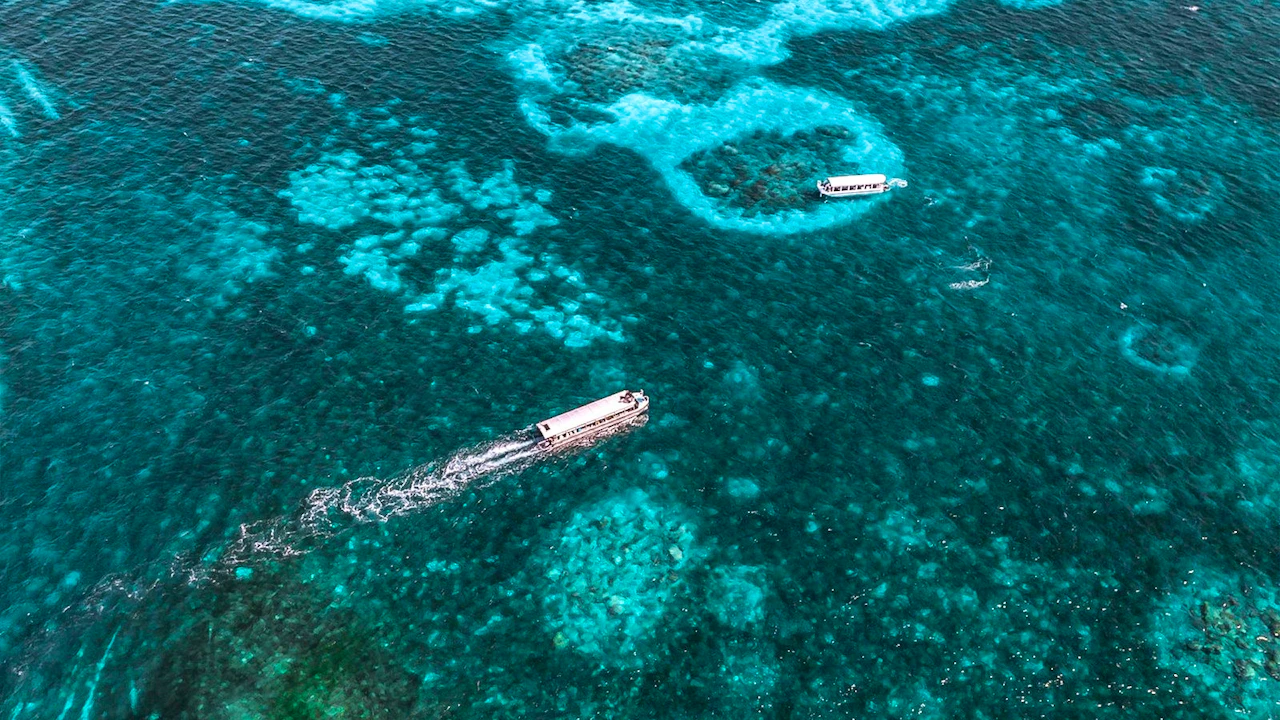 Reef Magic Pontoon Tour from Cairns