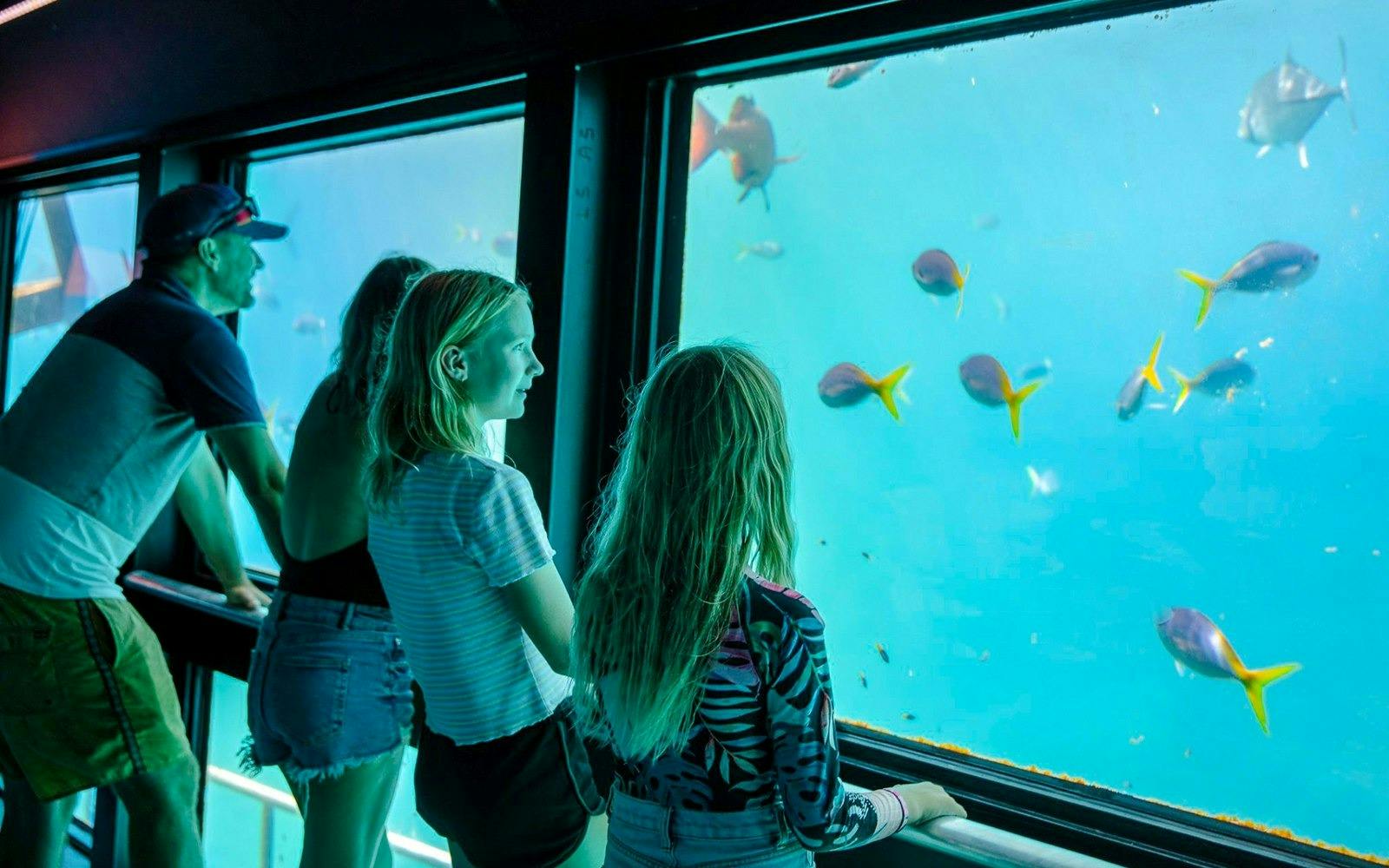 Reef Magic Pontoon Tour from Cairns Review