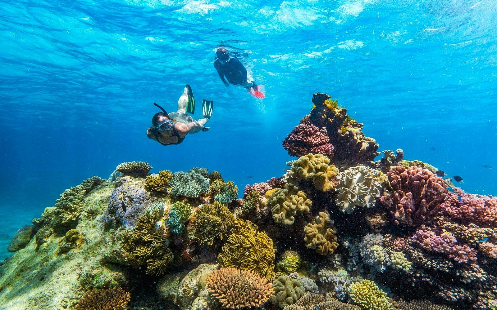 Reef Magic Pontoon Tour from Cairns Discount