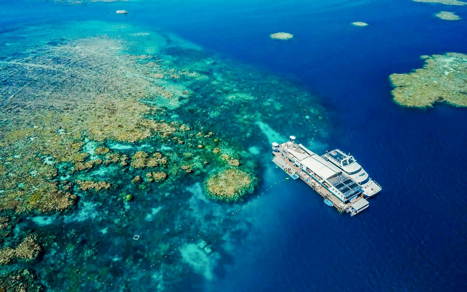 Reef Magic Pontoon Tour from Cairns 
