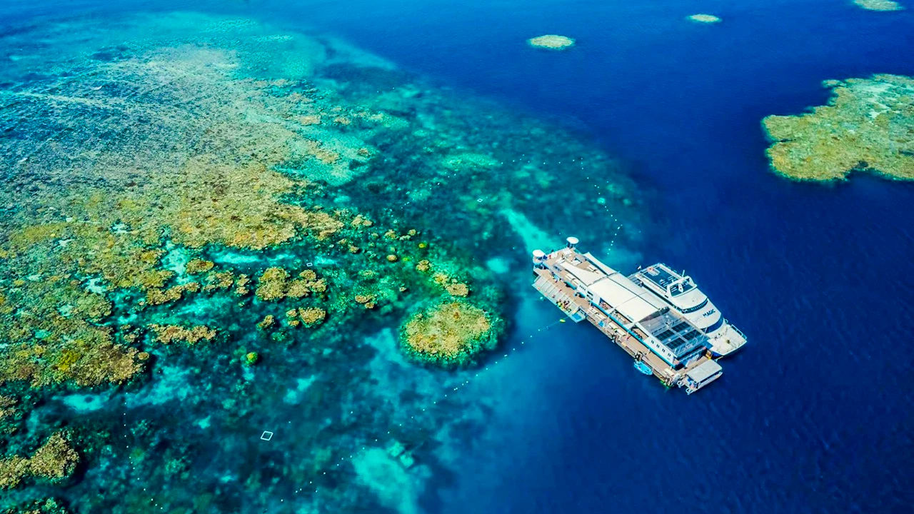 Reef Magic Pontoon Tour from Cairns