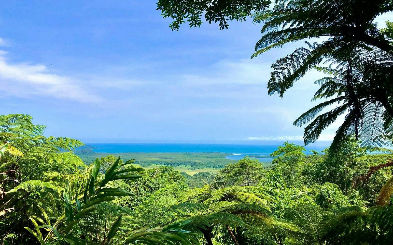 Cape Tribulation and Daintree Wilderness Tour Ticket