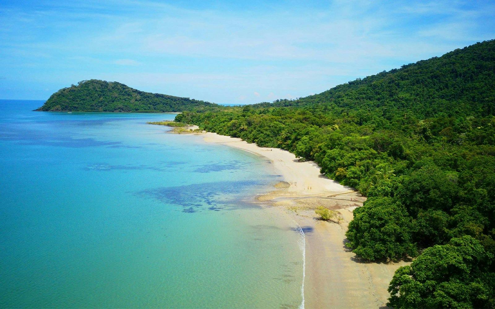 Cape Tribulation and Daintree Wilderness Tour