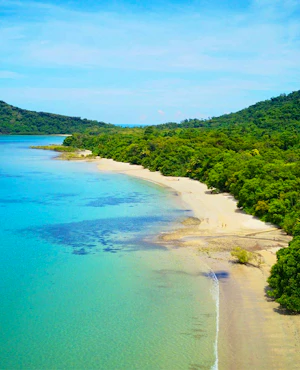 Cape Tribulation and Daintree Wilderness Tour