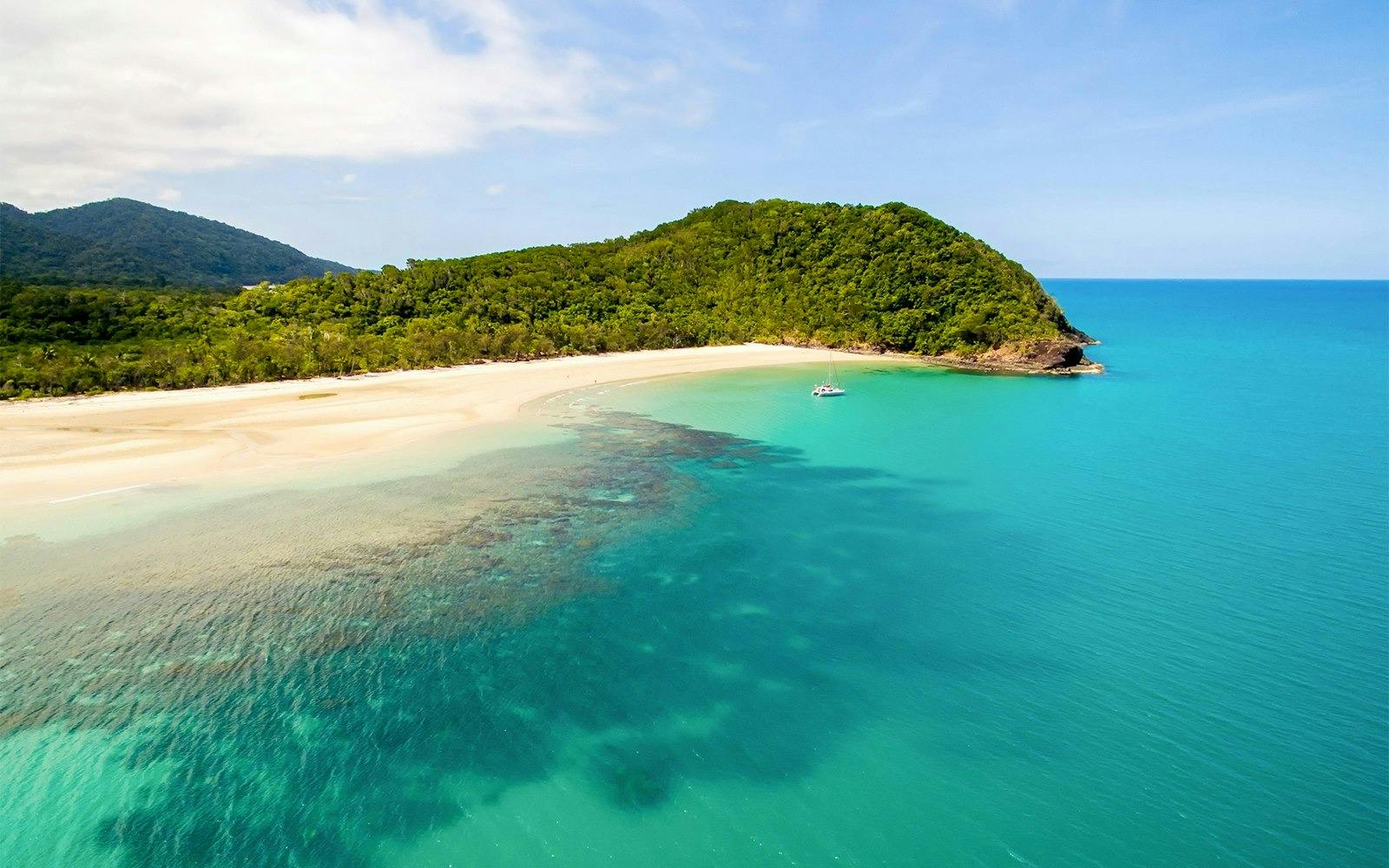 Cape Tribulation and Daintree Wilderness Tour Review