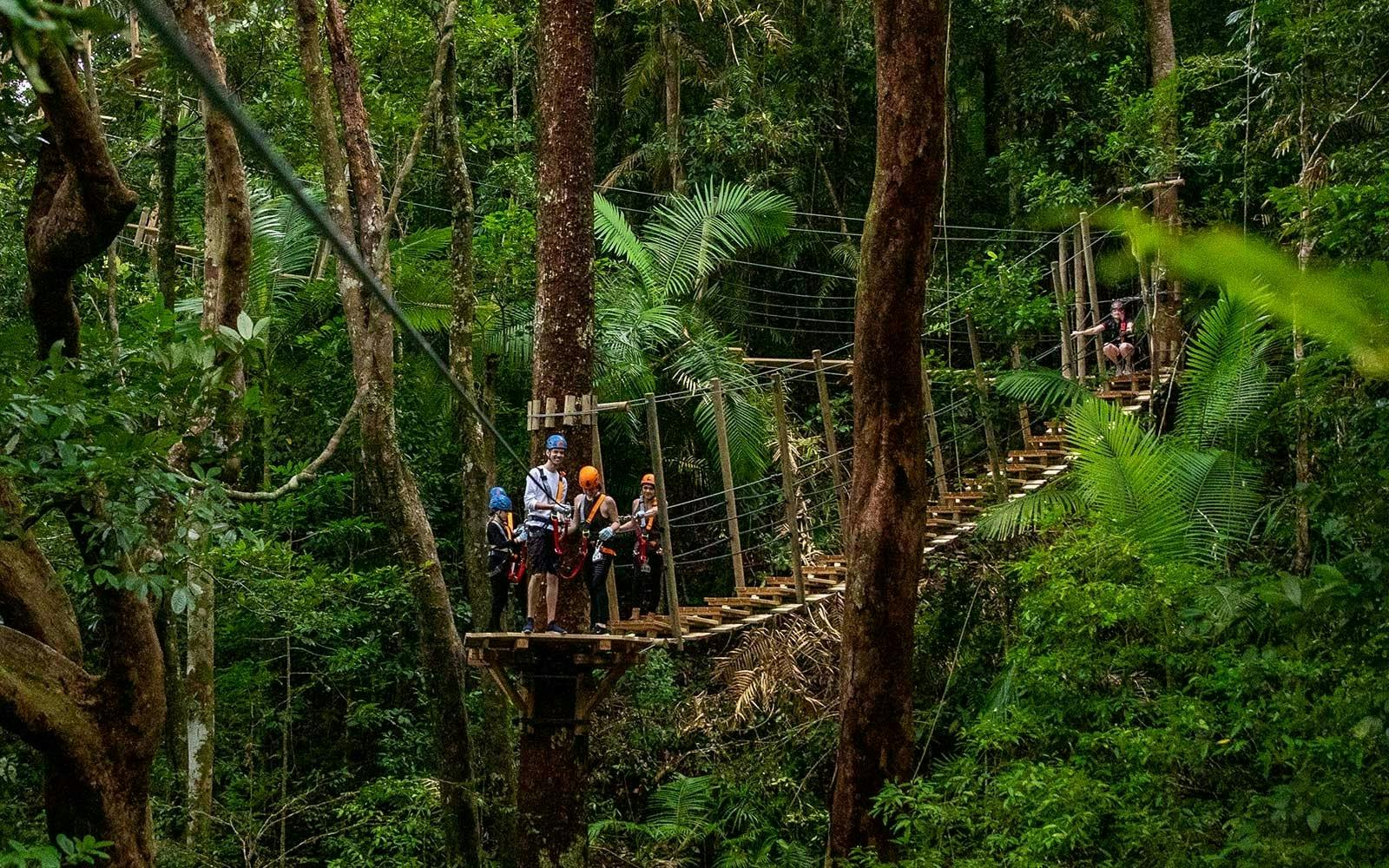 Cape Tribulation and Daintree Wilderness Tour Price