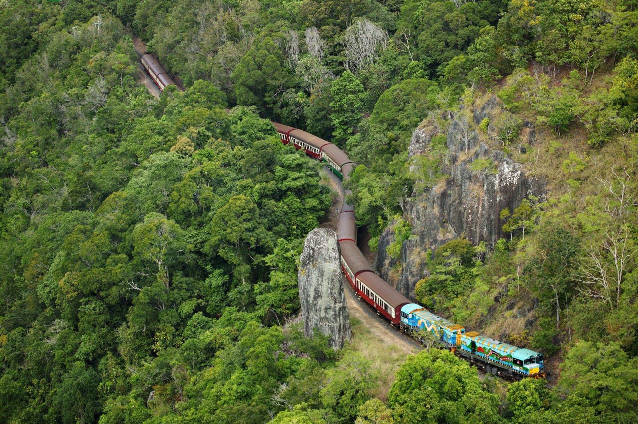 Kuranda Rainforestation Park Tour from Cairns + Scenic Railway Thrillark