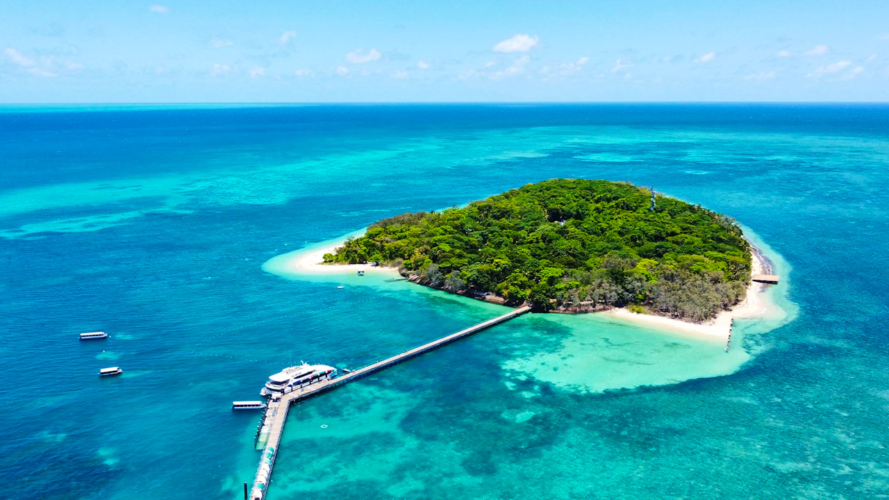 Cairns City Tours