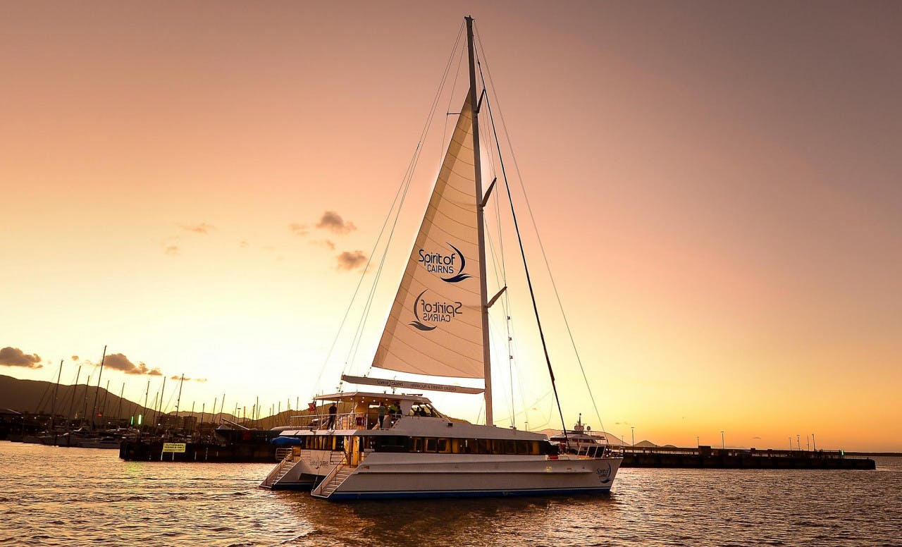 Cairns City Tours Thrillark