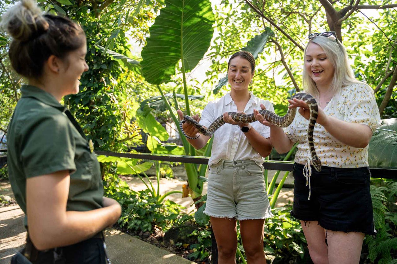 Wildlife Habitat Port Douglas Ticket