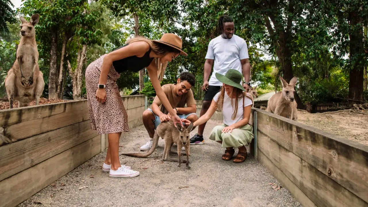 Wildlife Habitat Port Douglas Ticket Price