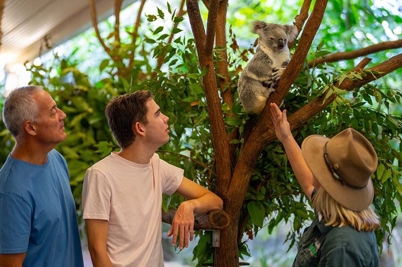 Daintree, Mossman Gorge & Wildlife Habitat Port Douglas Tour 