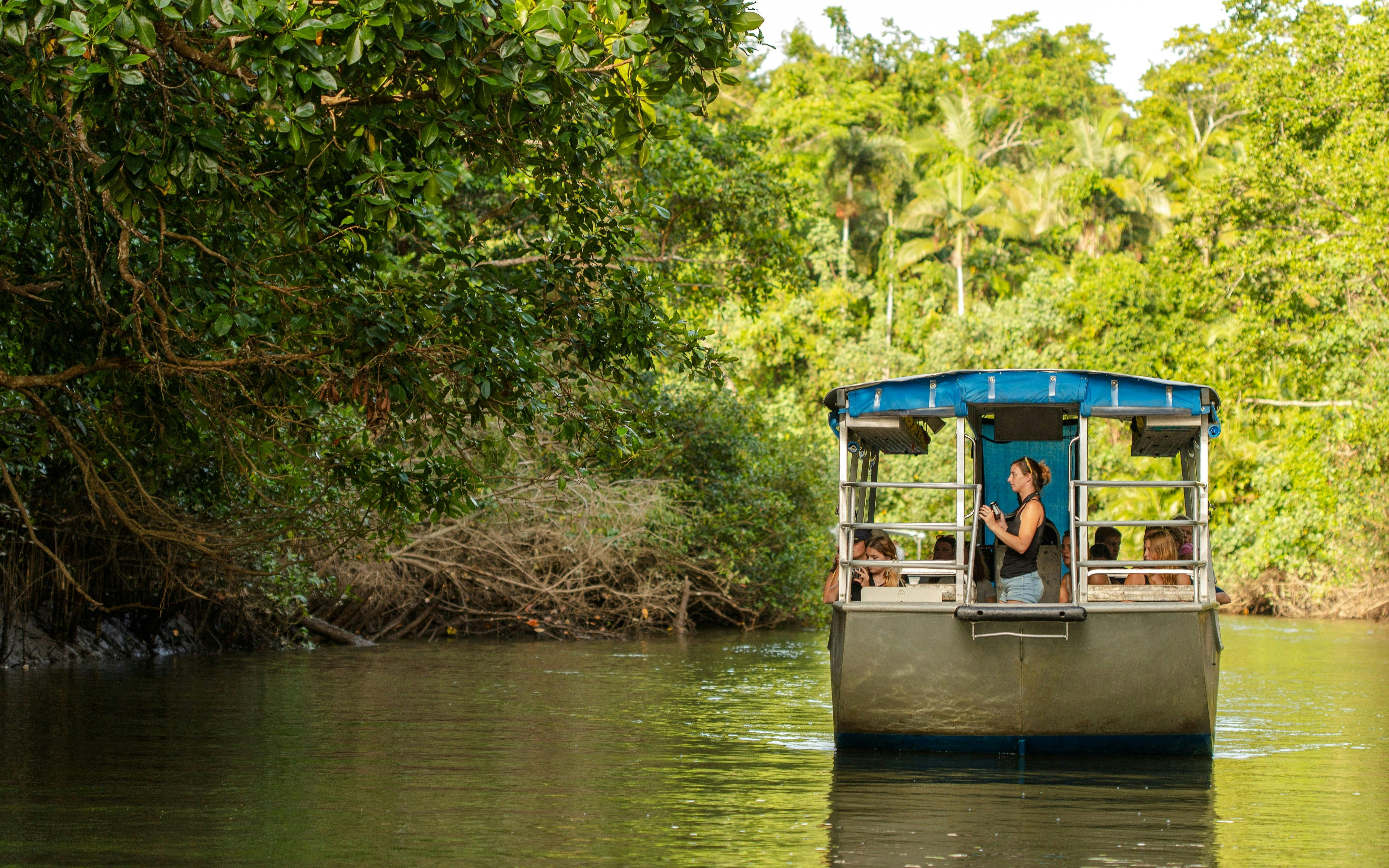 Daintree, Mossman Gorge & Wildlife Habitat Port Douglas Tour
