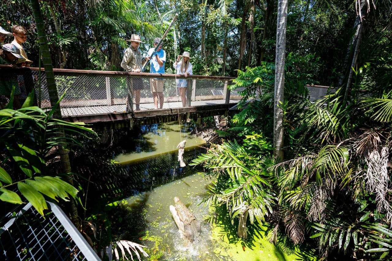 Daintree, Mossman Gorge & Wildlife Habitat Port Douglas Tour 