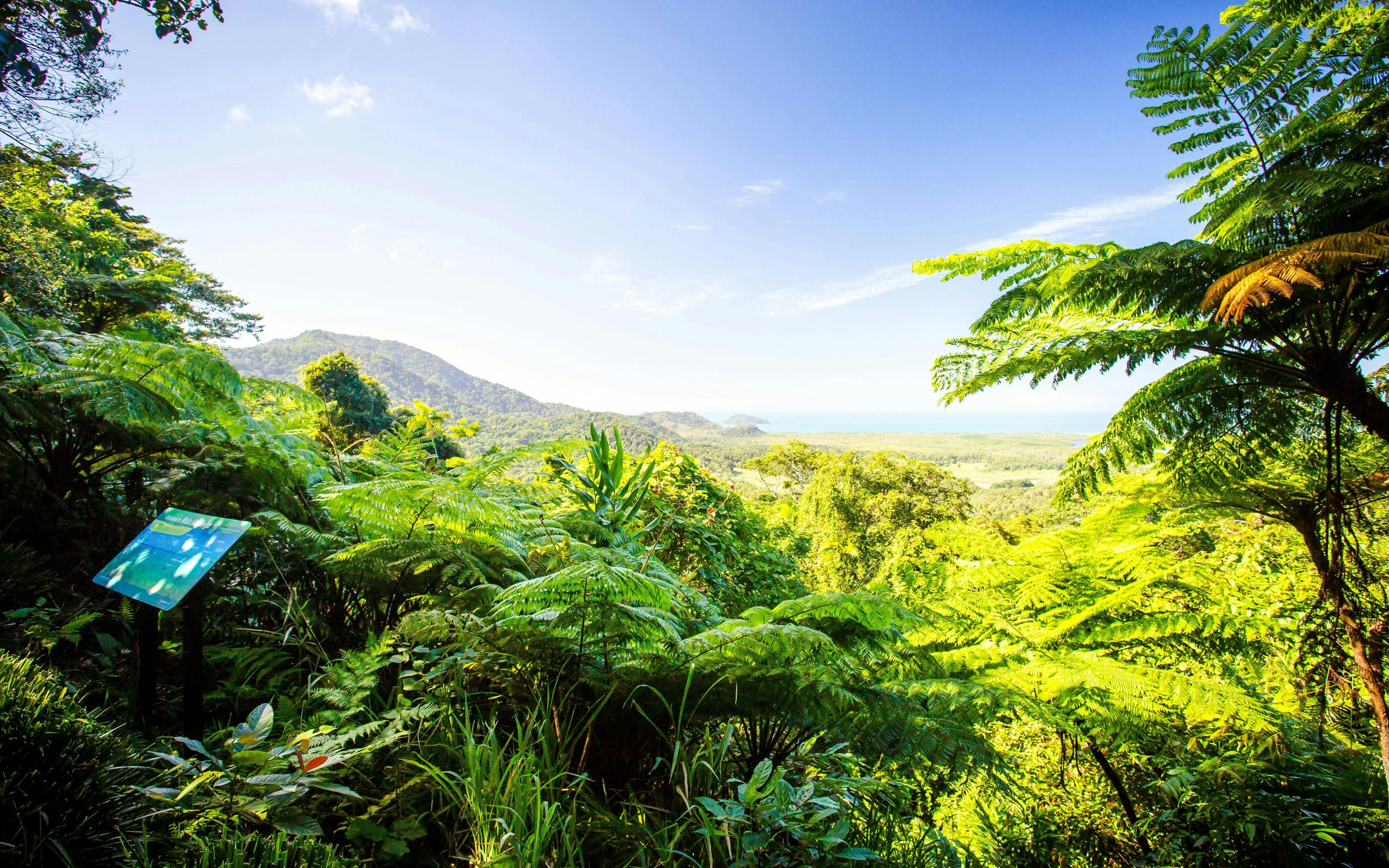Daintree, Mossman Gorge & Wildlife Habitat Port Douglas Tour Thrillark