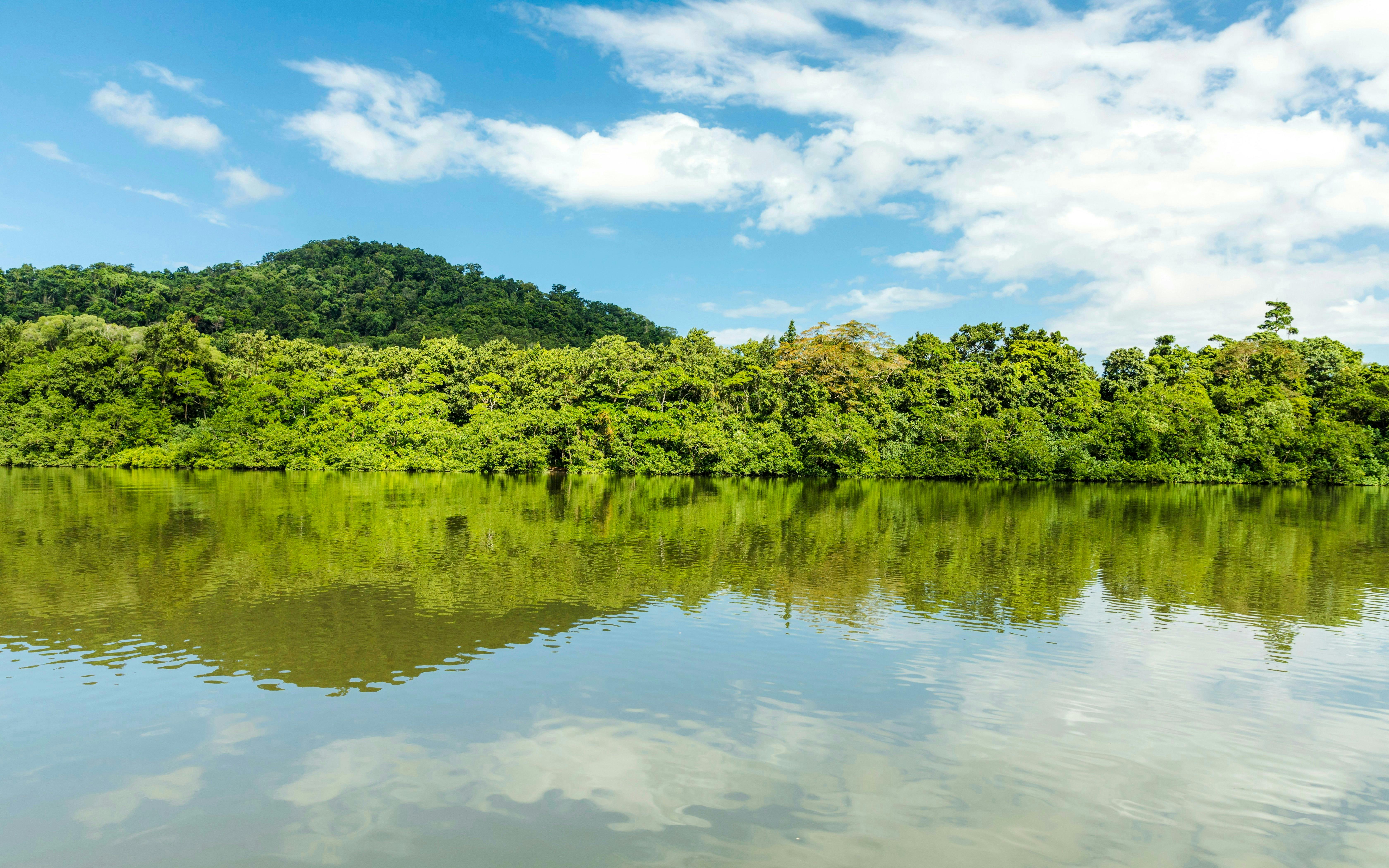 Daintree, Mossman Gorge & Wildlife Habitat Port Douglas Tour Price