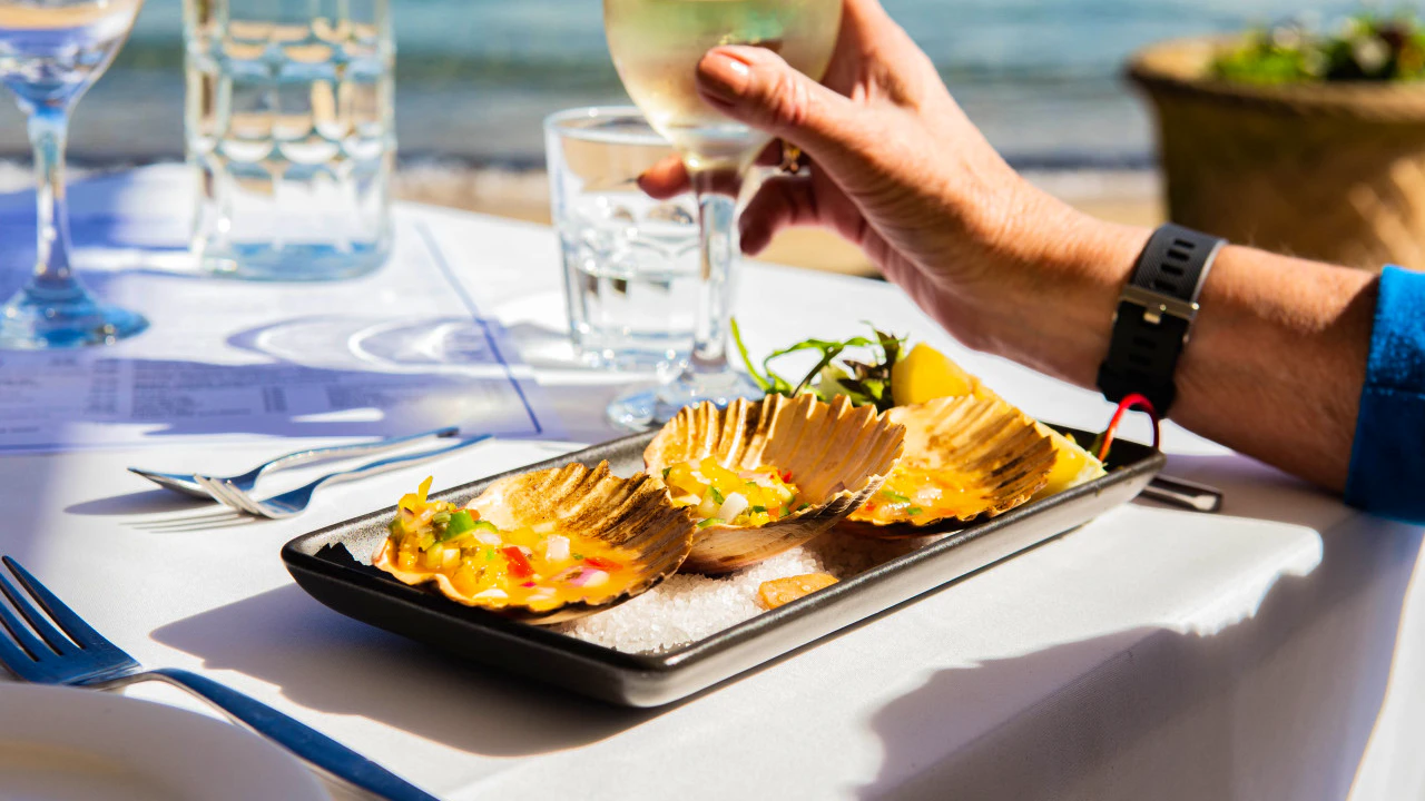 Sydney Harbour Long Dinner Cruise