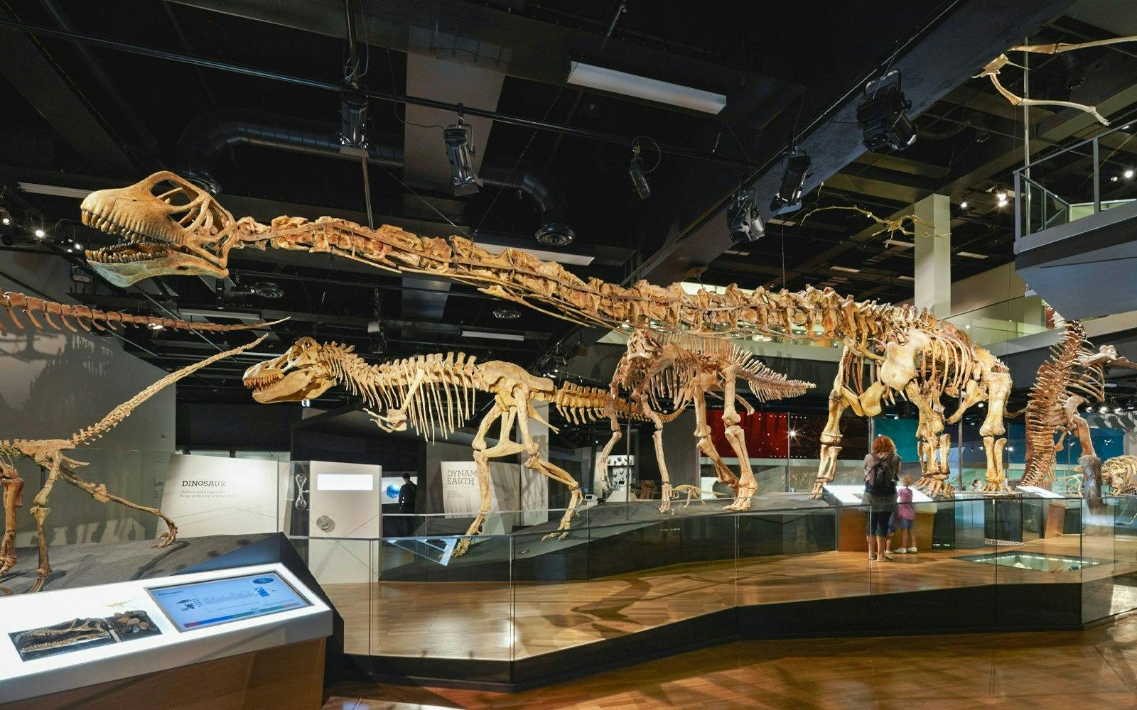 Melbourne Museum Ticket Price
