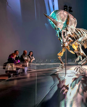 Melbourne Museum Ticket
