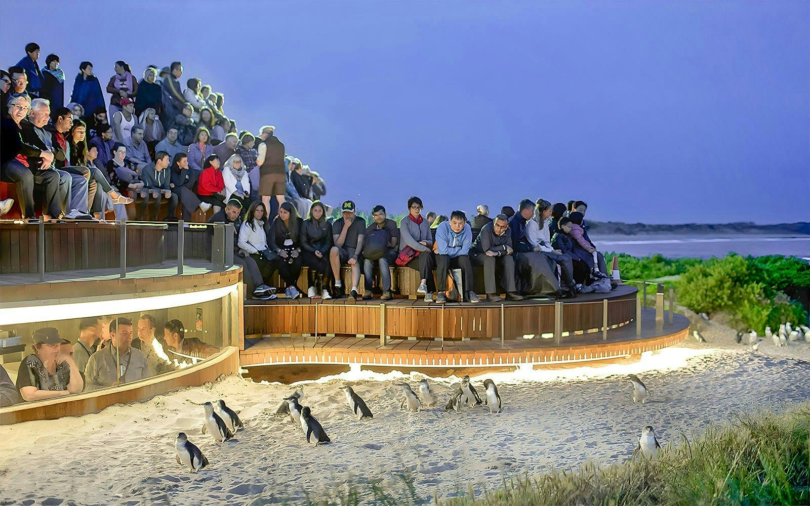 Churchill Island Ticket Thrillark