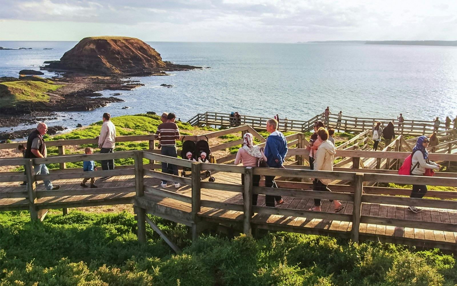 Phillip Island Penguin Parade Tour Ticket