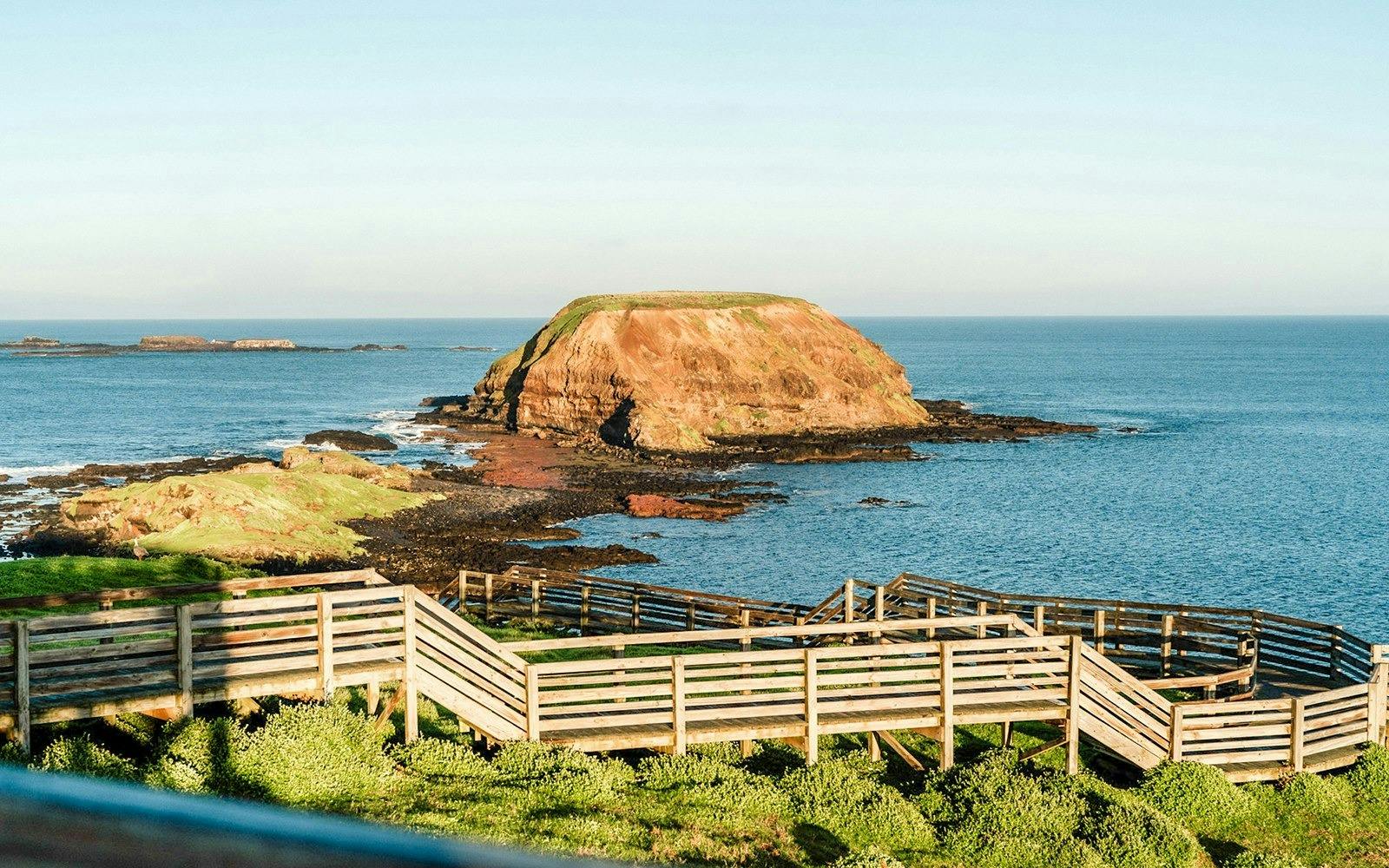 Phillip Island Penguin Parade Tour 