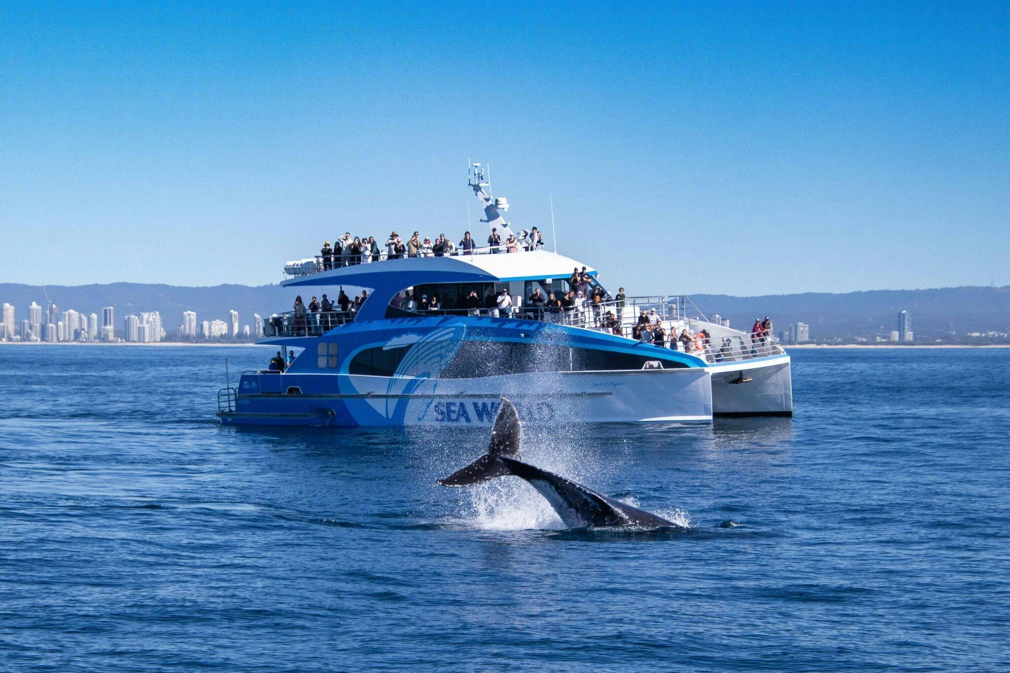 Sea World Whale Watching Cruise Location